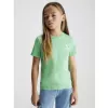 T-Shirt Calvin Klein Jeans Πράσινο IB0IB01231-L1C | T-shirt στο Vaptisi-online.gr